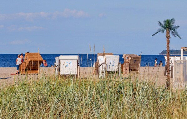 Beach huts offer comfortable accommodations on the sandy beach, surrounded by a palm tree.