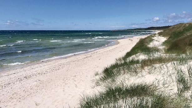 A sandy beach with waves, grassy dunes, and a clear sky. - Nice home in Hasle with sauna (Hasle)