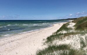 Ein Sandstrand mit Wellen, grasbewachsenen Dünen und blauem Himmel.