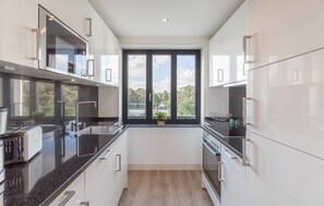 Kühlschrank, Mikrowelle, Herdplatte, Geschirrspüler