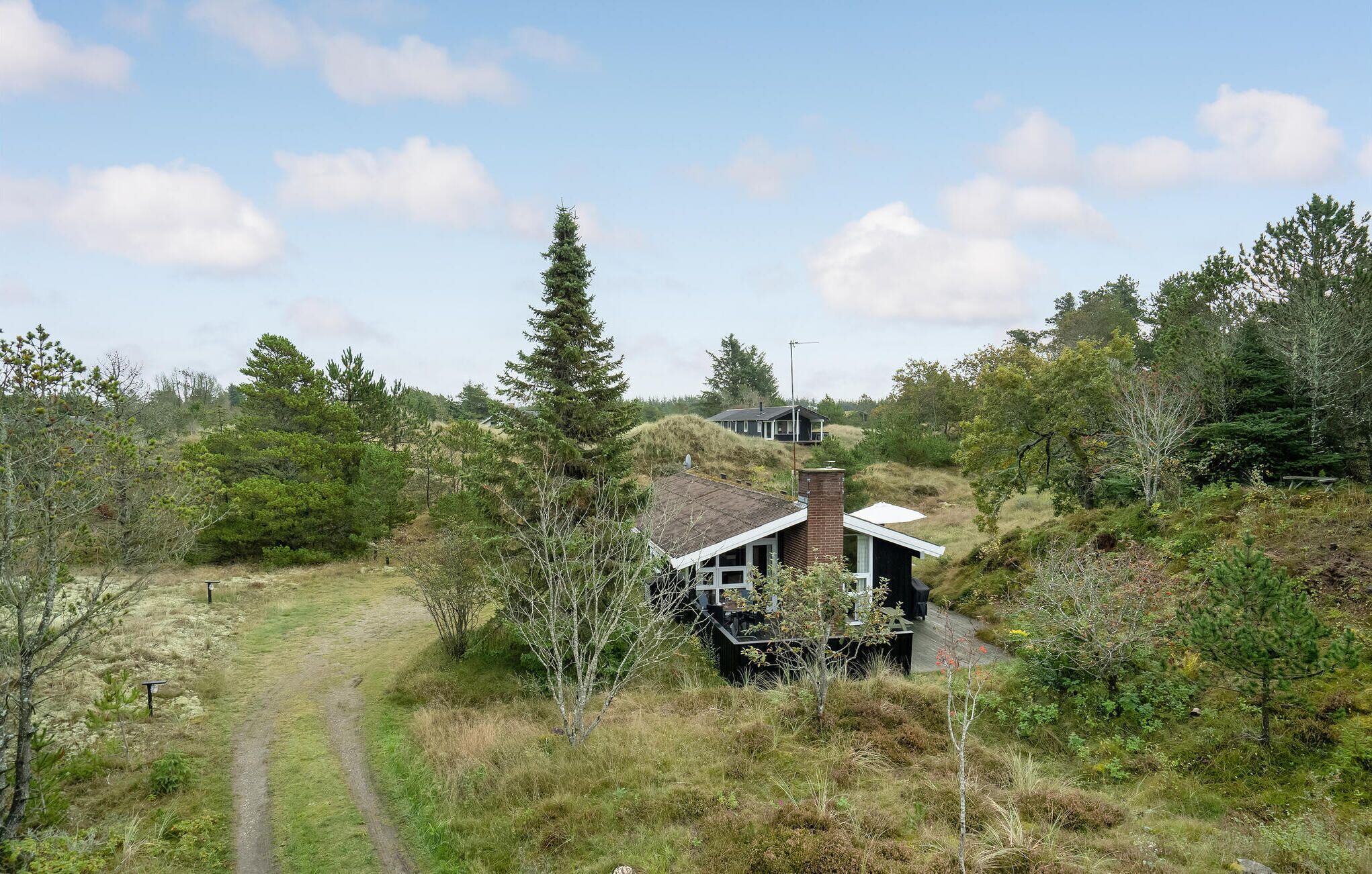 Une maison avec un toit en pente, entourée d’une forêt dense et bordée d’un chemin de terre.