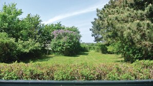 A grassy pathway flanked by dense shrubbery and trees, leading towards a distant horizon.