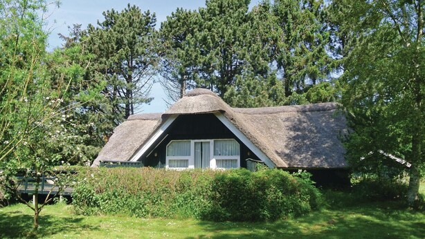 A thatched-roof cottage with a small porch, surrounded by lush greenery and tall trees.