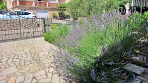 A stone-paved driveway leading to a gated entrance, surrounded by lush greenery and lavender plants. - Studio with balcony and air conditioning (Šilo)