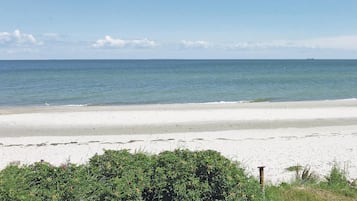 In Strandnähe, Angeln