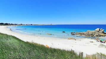 Una spiaggia nelle vicinanze, pesca