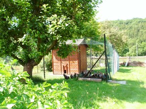 Overnattingsstedets uteområder