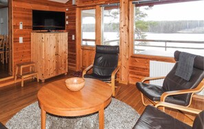 TV, fireplace, DVD player