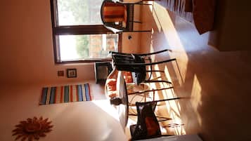 TV, DVD player, books