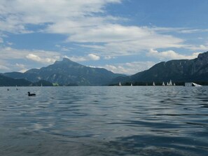 Imagen sin descripción, 4 de 15, botón