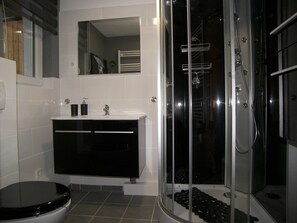 Shower, hair dryer, soap, toilet paper