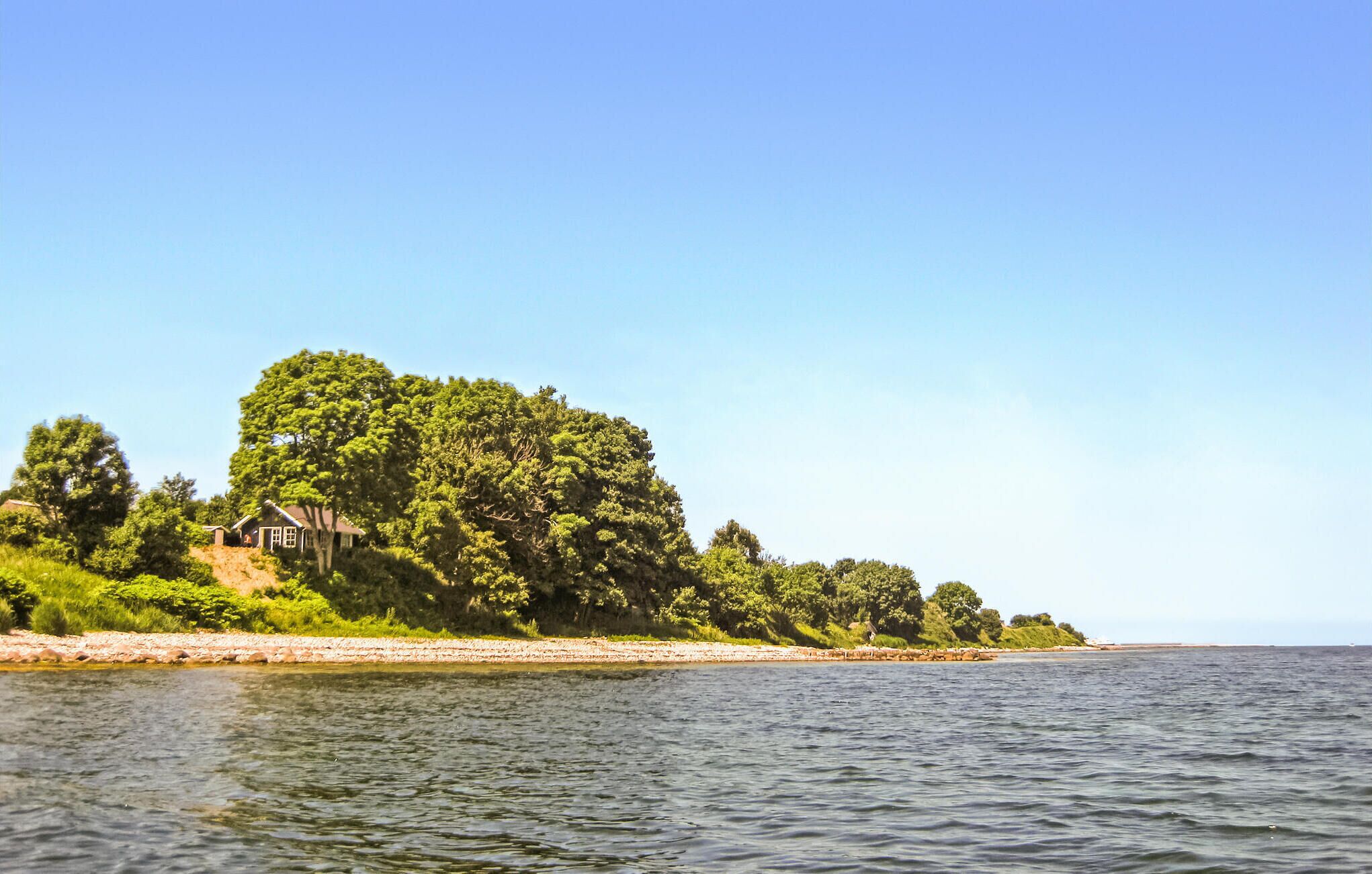 A coastal property with a house surrounded by dense greenery and a beach.