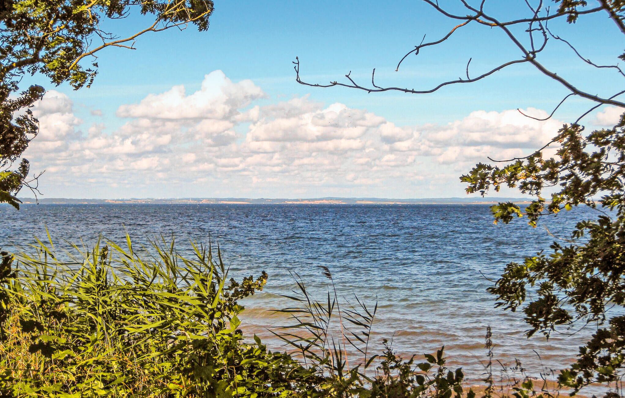 A coastal view with a body of water, land in the distance, and trees framing the scene.