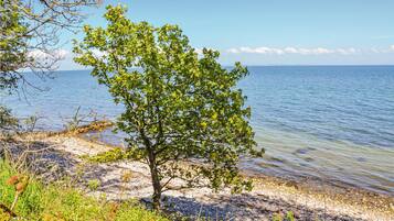 Tæt på stranden, fiskeri