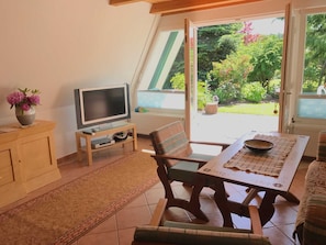 Fernseher, Kamin