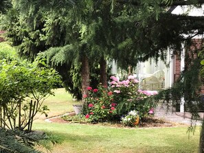 Imagen sin descripción, 3 de 19, botón