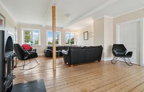 TV, fireplace, table tennis