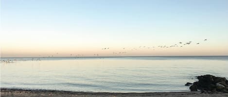 Playa en los alrededores y pesca