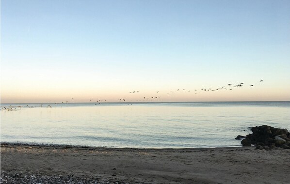 In Strandnähe, Angeln