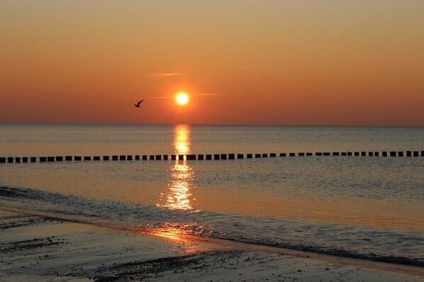 Tæt på stranden