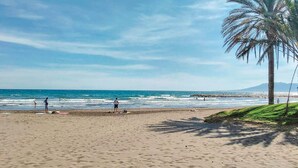 A beach with a palm tree, ocean waves, and people in the distance. - Amazing home in Corumbela (Corumbela)