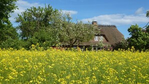 Udendørsområde