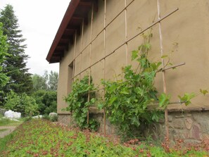 Botón de imagen sin clasificar, 4 de 37