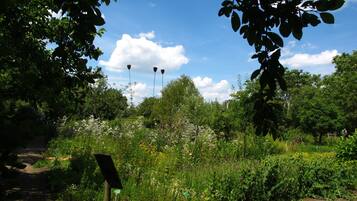 Ein Garten mit einem Feldweg, verschiedenen Pflanzen und einem Wegweiser.