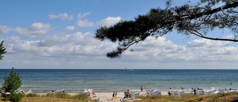 Perto da praia