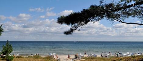 Plage à proximité