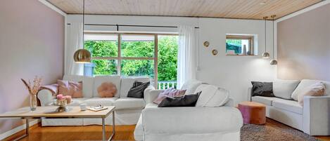 Télévision, cheminée, lecteur de DVD