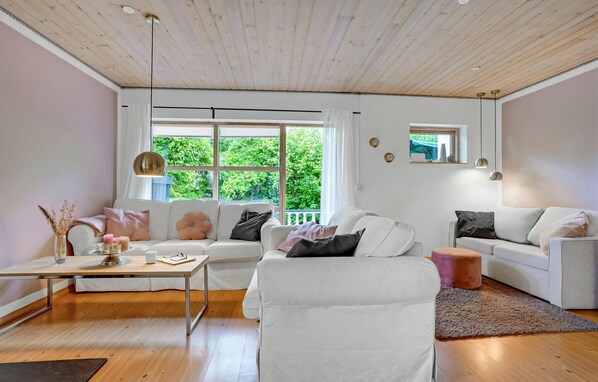 Télévision, cheminée, lecteur de DVD