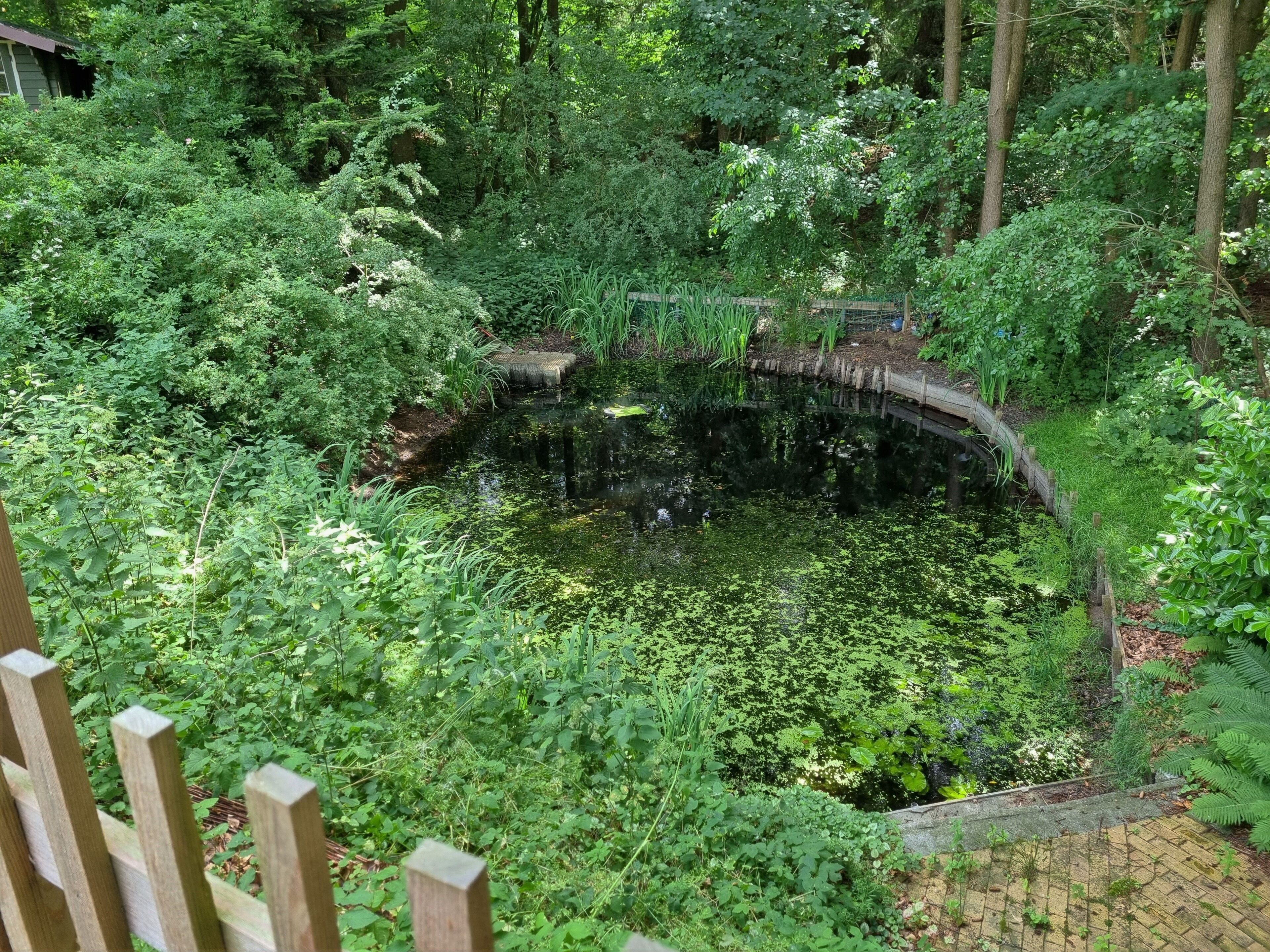 Property grounds