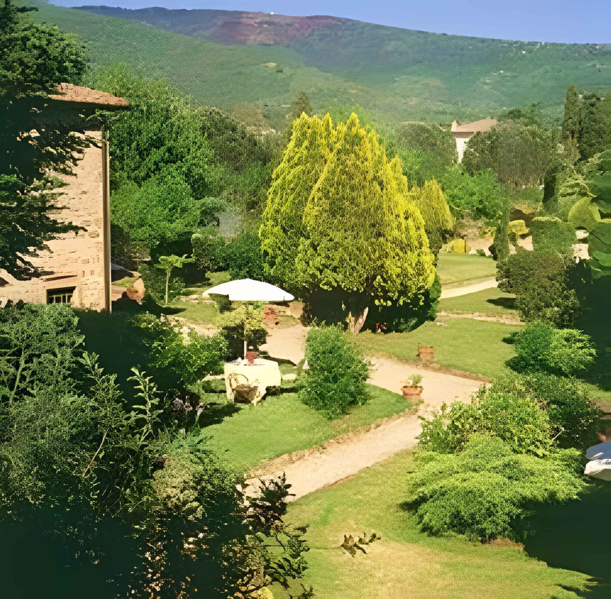 Um jardim exuberante com uma grande árvore, um edifício de pedra e um caminho.