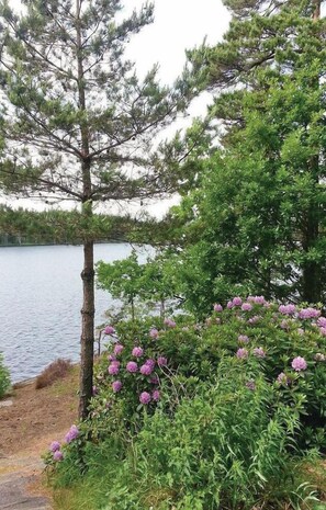 المنطقة المحيطة بالمنشأة