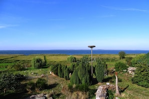 Unclassified image, 2 of 20, button