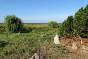 Unclassified image, 4 of 20, button