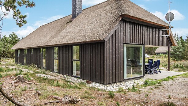 Une maison moderne avec un toit de chaume, de grandes fenêtres et une antenne parabolique.