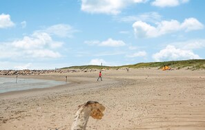 Plage à proximité, pêche sur place