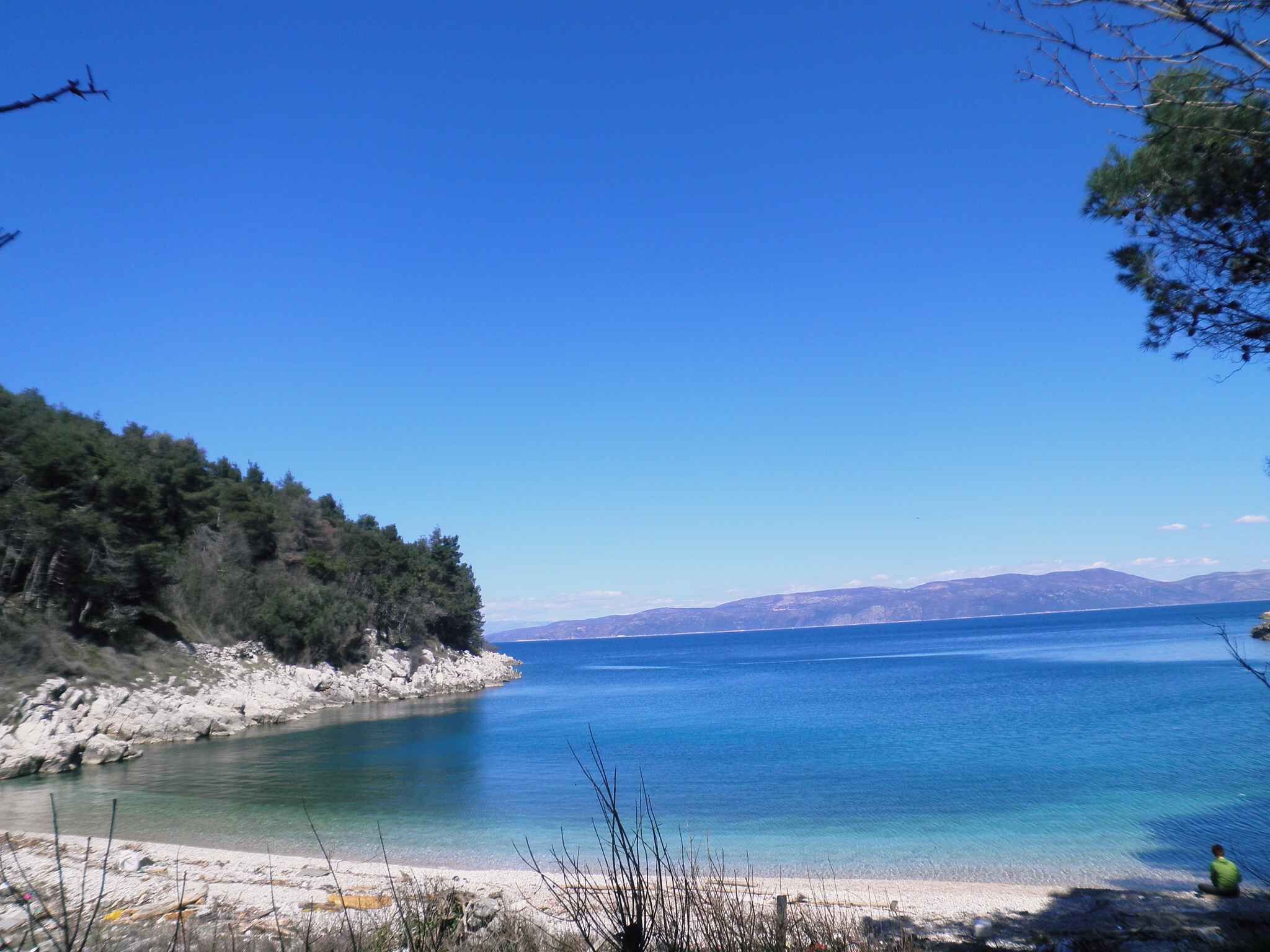 A coastal landscape with a clear view of the sea, a sandy beach, and a forested area.