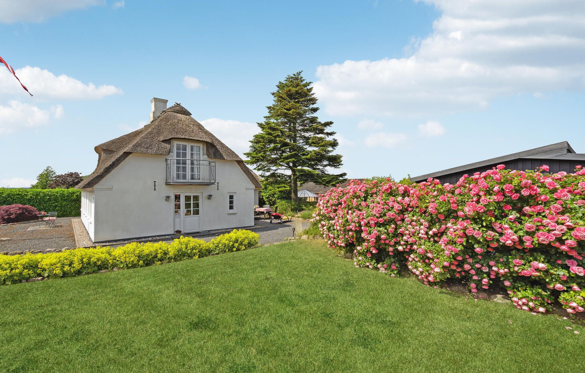 Een wit huis met rieten dak, een grote boom en een tuin vol rozen in roze tinten.