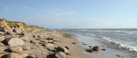 In Strandnähe, Angeln