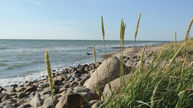 A rocky beach with waves, grasses, and a clear sky. - Stunning home in Süssau/Ostsee (Süssau/Ostsee)