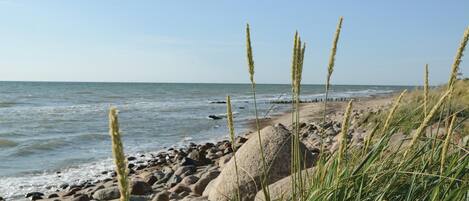 Beach nearby, fishing