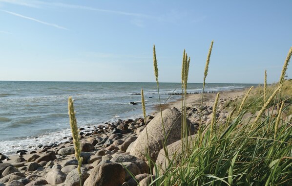 In Strandnähe, Angeln