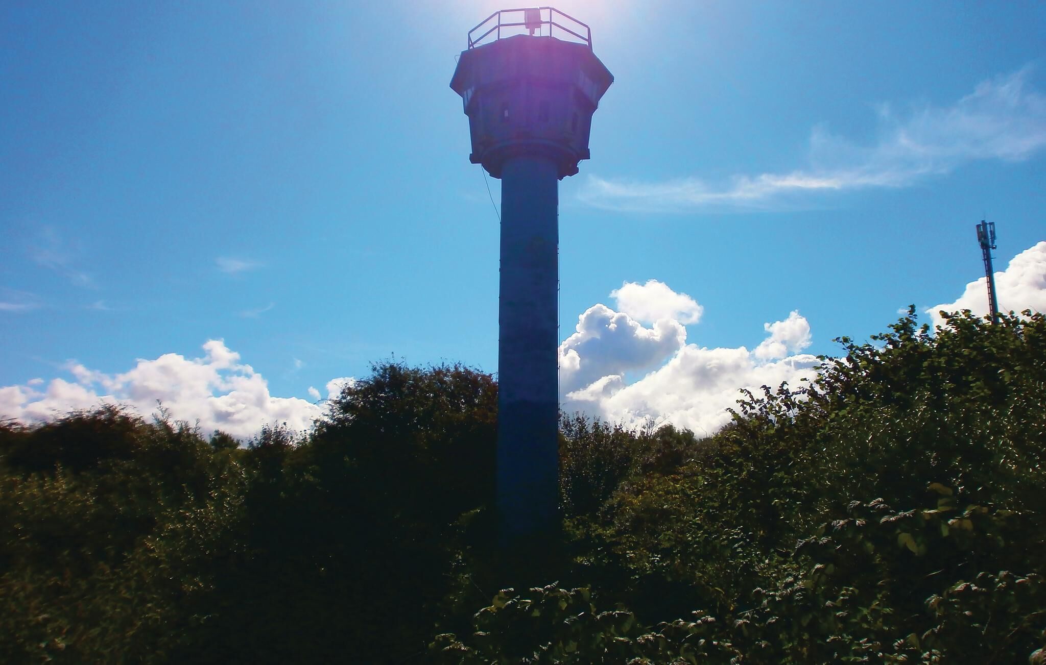 A tall tower with a platform at the top, surrounded by greenery.