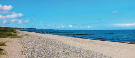Beach nearby, fishing