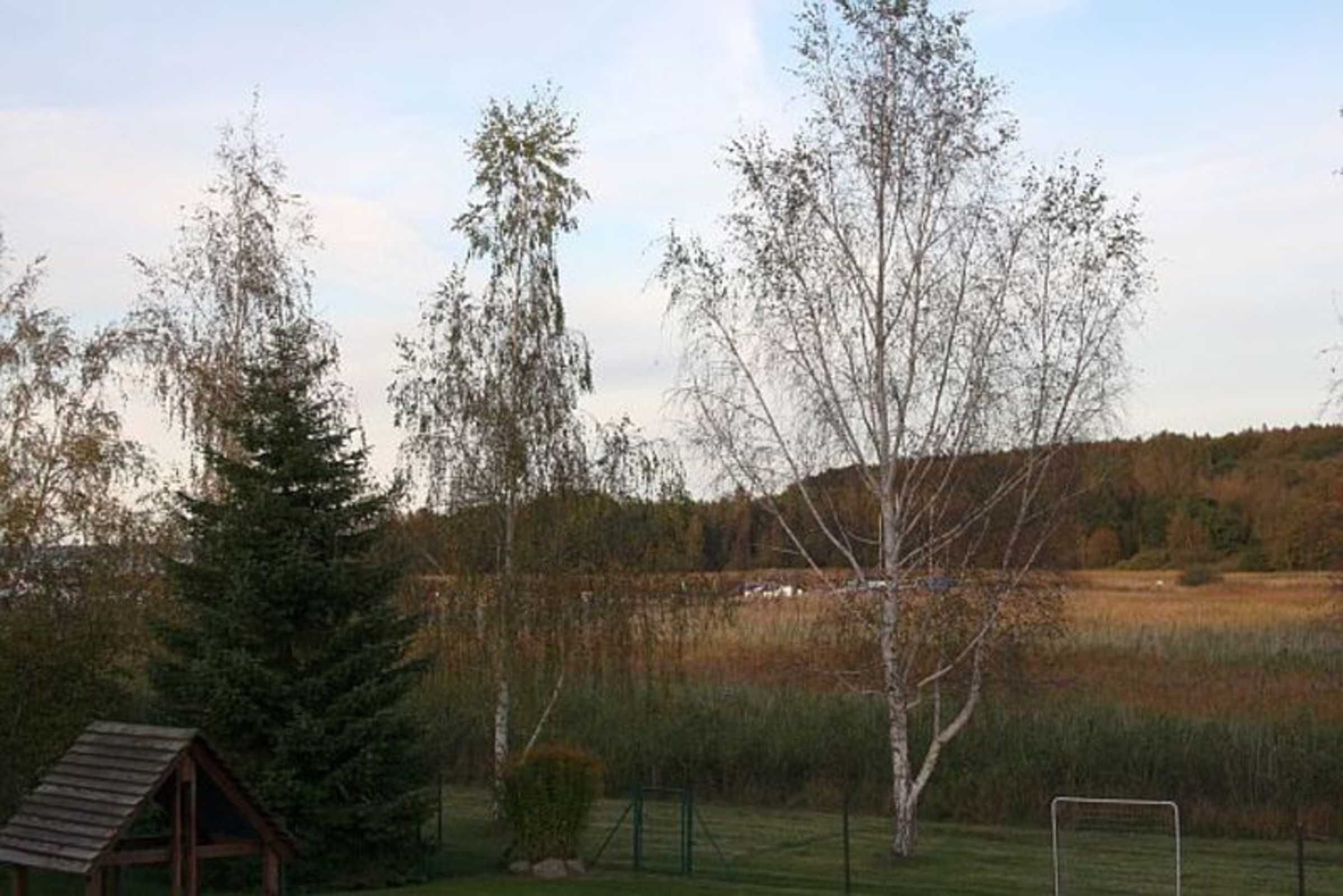 A rural landscape with a wooden structure, possibly a cabin, surrounded by trees and a field.