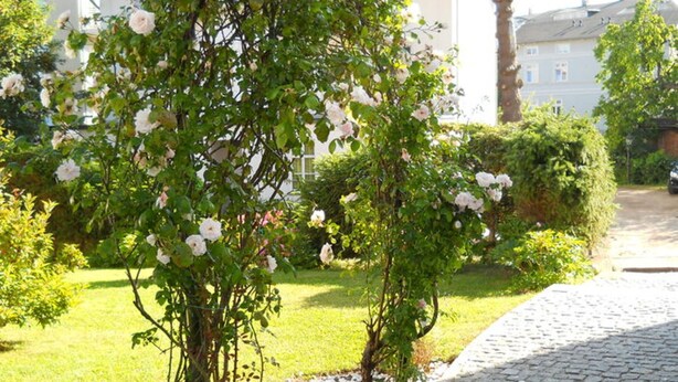 Ein Garten mit blühenden Pflanzen und einem Pflasterweg.