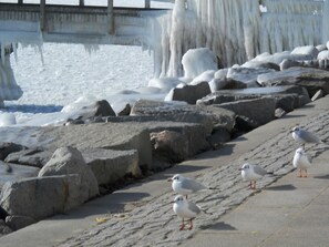 星評価なしの画像、3 / 14、ボタン